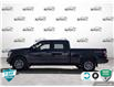 2019 Ford F-150 XLT (Stk: FH159A) in Sault Ste. Marie - Image 3 of 24