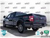 2019 Ford F-150 XLT (Stk: FH159A) in Sault Ste. Marie - Image 4 of 24