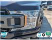 2019 Ford F-150 XLT (Stk: FH159A) in Sault Ste. Marie - Image 8 of 24