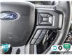 2019 Ford F-150 XLT (Stk: FH159A) in Sault Ste. Marie - Image 15 of 24