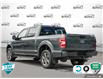 2020 Ford F-150 XLT (Stk: 502438) in St. Catharines - Image 4 of 26