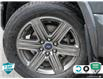 2020 Ford F-150 XLT (Stk: 502438) in St. Catharines - Image 6 of 26