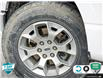 2021 Ford F-150 XLT (Stk: 502437) in St. Catharines - Image 6 of 25