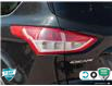 2014 Ford Escape SE (Stk: 104783A) in St. Thomas - Image 12 of 27