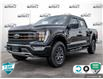2023 Ford F-150 Tremor (Stk: FH013A) in Sault Ste. Marie - Image 1 of 24