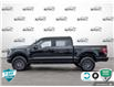 2023 Ford F-150 Tremor (Stk: FH013A) in Sault Ste. Marie - Image 3 of 24