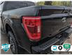 2023 Ford F-150 Tremor (Stk: FH013A) in Sault Ste. Marie - Image 10 of 24