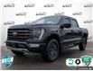 2022 Ford F-150 Tremor (Stk: FH079A) in Sault Ste. Marie - Image 1 of 24
