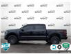 2022 Ford F-150 Tremor (Stk: FH079A) in Sault Ste. Marie - Image 3 of 24