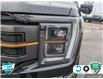 2022 Ford F-150 Tremor (Stk: FH079A) in Sault Ste. Marie - Image 8 of 24