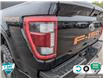 2022 Ford F-150 Tremor (Stk: FH079A) in Sault Ste. Marie - Image 10 of 24