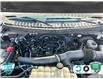2021 Ford Expedition Max Limited (Stk: 5A034X) in Oakville - Image 10 of 24