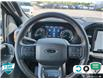 2023 Ford F-150 Tremor (Stk: 95242) in Sault Ste. Marie - Image 13 of 24