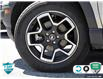 2024 Ford Bronco Sport Big Bend (Stk: 803053X) in St. Catharines - Image 7 of 27