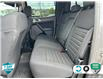 2022 Ford Ranger XLT (Stk: R409A) in Grimsby - Image 23 of 25