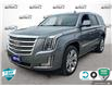 2019 Cadillac Escalade Platinum (Stk: 25G323A) in Tillsonburg - Image 1 of 23