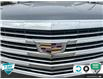 2019 Cadillac Escalade Platinum (Stk: 25G323A) in Tillsonburg - Image 9 of 23