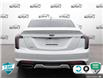 2023 Cadillac CT5 Sport (Stk: A250422X) in Hamilton - Image 5 of 23
