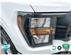 2023 Ford F-150 XL (Stk: P7162) in Oakville - Image 8 of 24