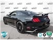 2022 Ford Mustang GT (Stk: A250425) in Hamilton - Image 4 of 22