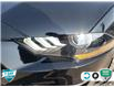 2022 Ford Mustang GT (Stk: A250425) in Hamilton - Image 8 of 22
