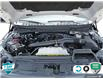 2024 Ford F-150 Tremor (Stk: 502478) in St. Catharines - Image 10 of 30