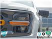 2024 Ford F-150 Tremor (Stk: 502478) in St. Catharines - Image 12 of 30