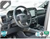 2024 Ford F-150 Tremor (Stk: 502478) in St. Catharines - Image 13 of 30