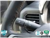 2024 Ford F-150 Tremor (Stk: 502478) in St. Catharines - Image 17 of 30