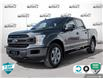 2019 Ford F-150 XLT (Stk: FH102A) in Sault Ste. Marie - Image 1 of 24