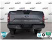 2019 Ford F-150 XLT (Stk: FH102A) in Sault Ste. Marie - Image 5 of 24