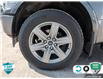 2019 Ford F-150 XLT (Stk: FH102A) in Sault Ste. Marie - Image 6 of 24