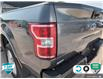 2019 Ford F-150 XLT (Stk: FH102A) in Sault Ste. Marie - Image 10 of 24
