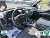 2019 Ford F-150 XLT (Stk: FH102A) in Sault Ste. Marie - Image 12 of 24
