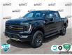 2022 Ford F-150 Tremor (Stk: A250379) in Hamilton - Image 1 of 23