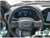 2022 Ford F-150 Tremor (Stk: A250379) in Hamilton - Image 12 of 23