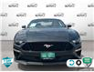 2021 Ford Mustang GT Premium (Stk: R491A) in Grimsby - Image 2 of 23