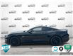 2021 Ford Mustang GT Premium (Stk: R491A) in Grimsby - Image 3 of 23