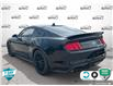 2021 Ford Mustang GT Premium (Stk: R491A) in Grimsby - Image 4 of 23