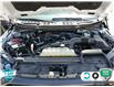 2023 Ford F-150 XLT (Stk: 502481) in St. Catharines - Image 8 of 30