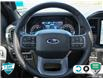 2023 Ford F-150 XLT (Stk: 502481) in St. Catharines - Image 16 of 30