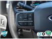 2023 Ford F-150 XLT (Stk: 502481) in St. Catharines - Image 20 of 30