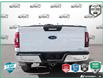 2021 Ford F-150 XLT (Stk: FH293A) in Sault Ste. Marie - Image 5 of 24
