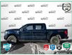2022 Ford F-150 Tremor (Stk: P7316) in Oakville - Image 3 of 24