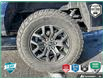 2022 Ford F-150 Tremor (Stk: P7316) in Oakville - Image 6 of 24