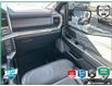 2022 Ford F-150 Tremor (Stk: P7316) in Oakville - Image 24 of 24