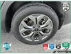 2025 Kia Seltos EX (Stk: P258087) in Grimsby - Image 7 of 26
