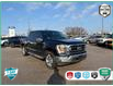 2022 Ford F-150 XLT (Stk: 5F241A) in Oakville - Image 1 of 28