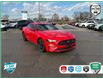 2021 Ford Mustang EcoBoost (Stk: P7325X) in Oakville - Image 1 of 21