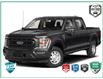 2022 Ford F-150 Tremor (Stk: MFLFI070BX) in Sault Ste. Marie - Image 1 of 3